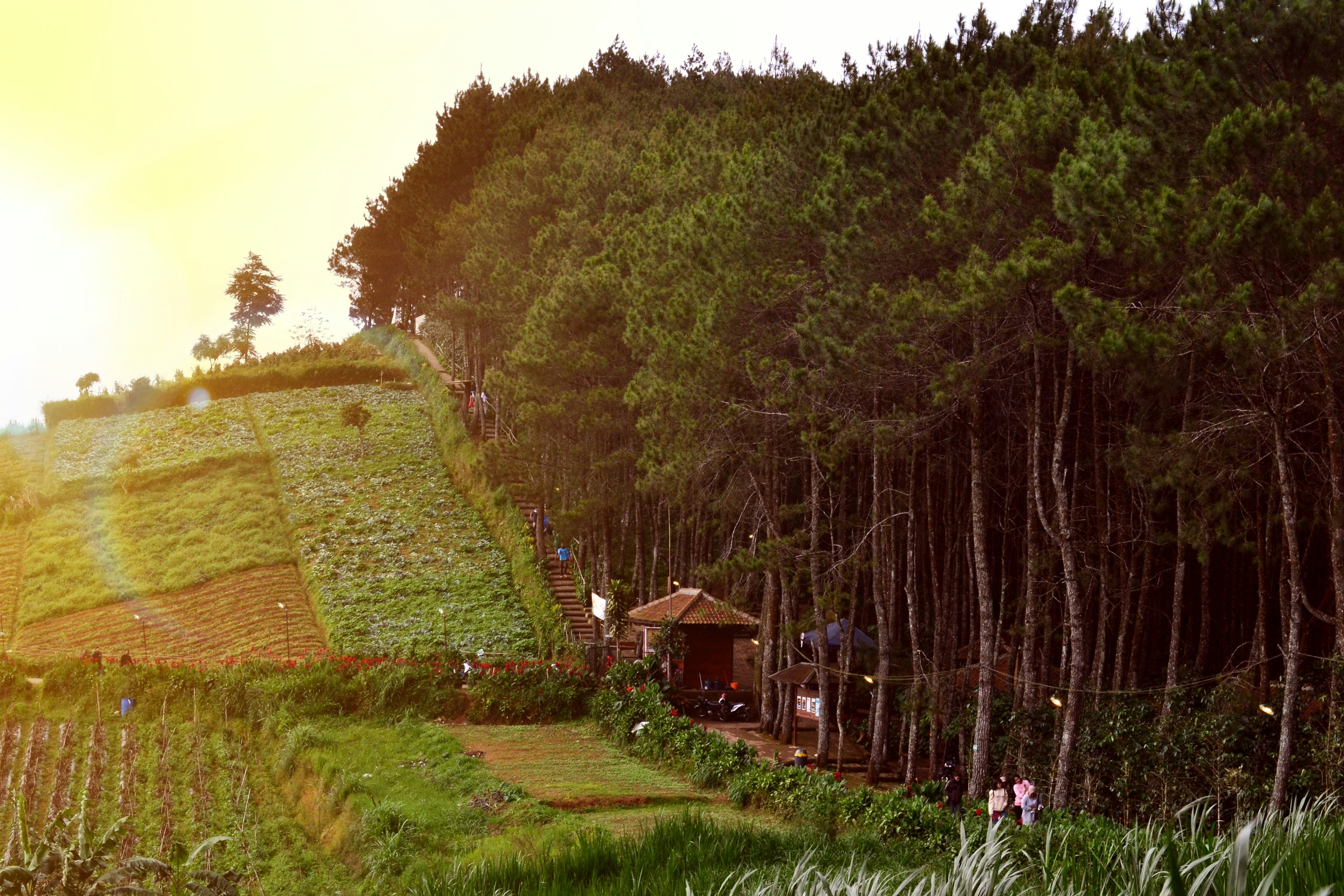 Photo by avidmaulanas