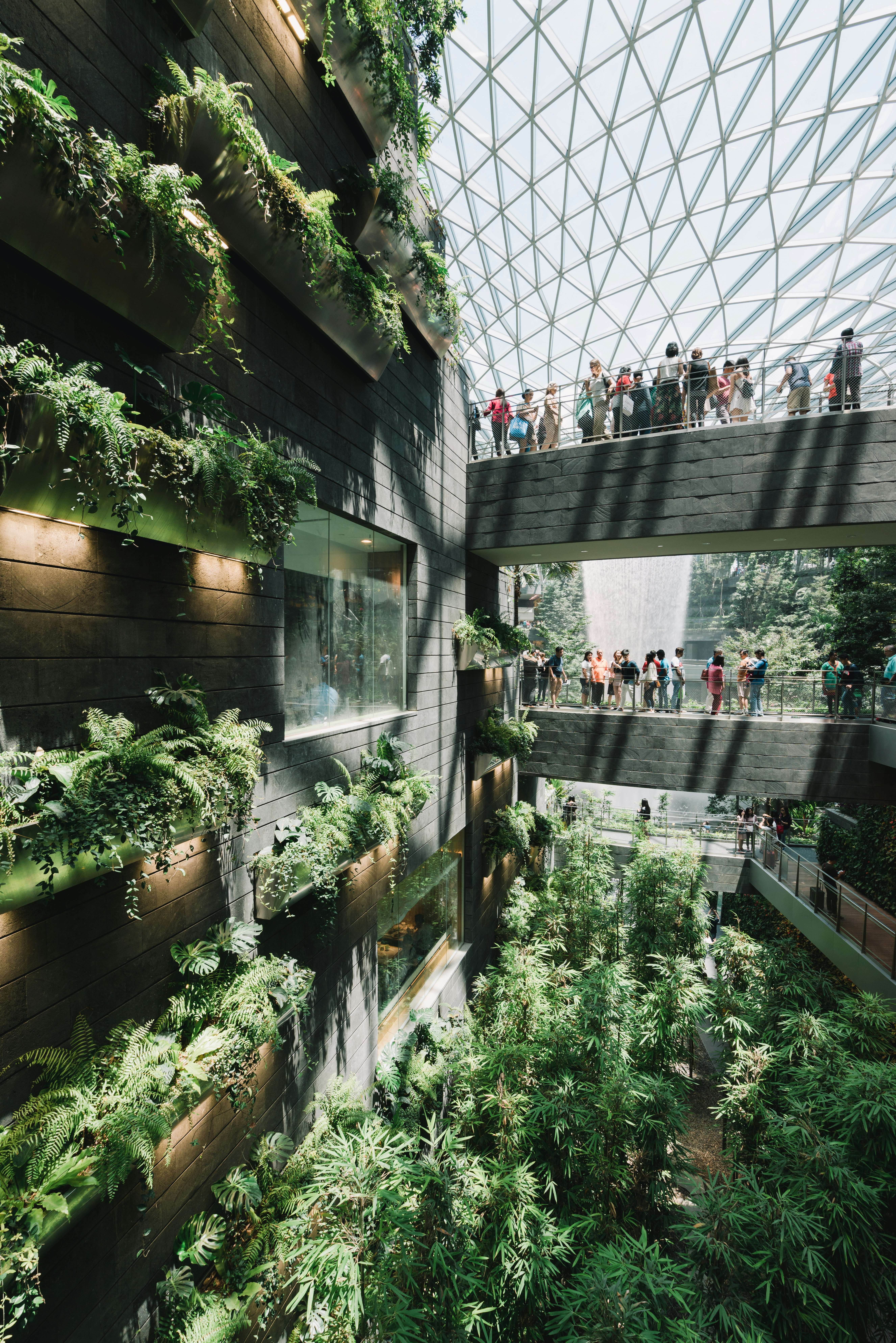 people standing inside Amazon building