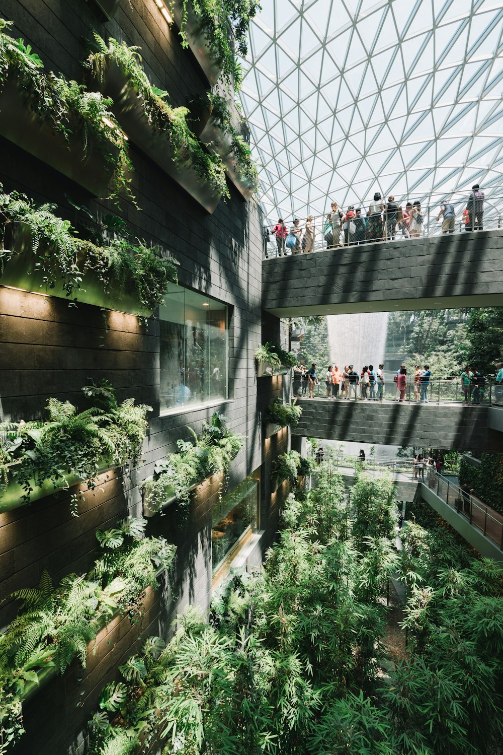 people standing inside Amazon building