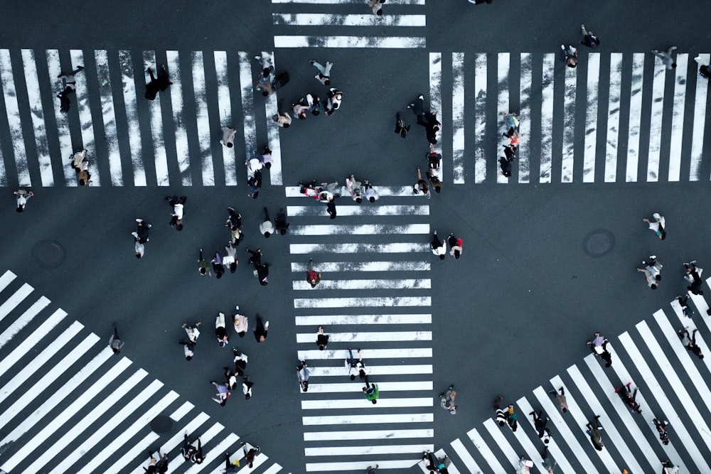 people walking on street