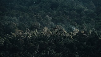 Thermal sensor detecting heat signatures in dense forest foliage.