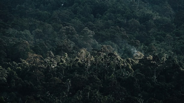 Thermal sensor detecting heat signatures in dense forest foliage.