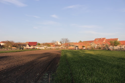 A rural landscape featuring a plowed field on the left and a grassy area on the right. In the background, there are several farmhouse buildings with red roofs, surrounded by trees and shrubs. The sky is clear and blue.