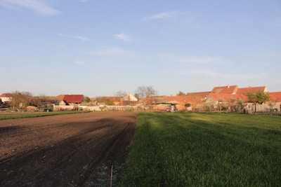 A rural landscape featuring a plowed field on the left and a grassy area on the right. In the background, there are several farmhouse buildings with red roofs, surrounded by trees and shrubs. The sky is clear and blue.