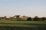 A wide shot of the farm’s infrastructure including barns and water troughs with cattle nearby.