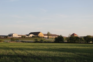 A rural landscape featuring a series of farm buildings, including a barn and several other agricultural structures, surrounded by lush green fields. The horizon shows clear skies and a few trees scattered around the premises.