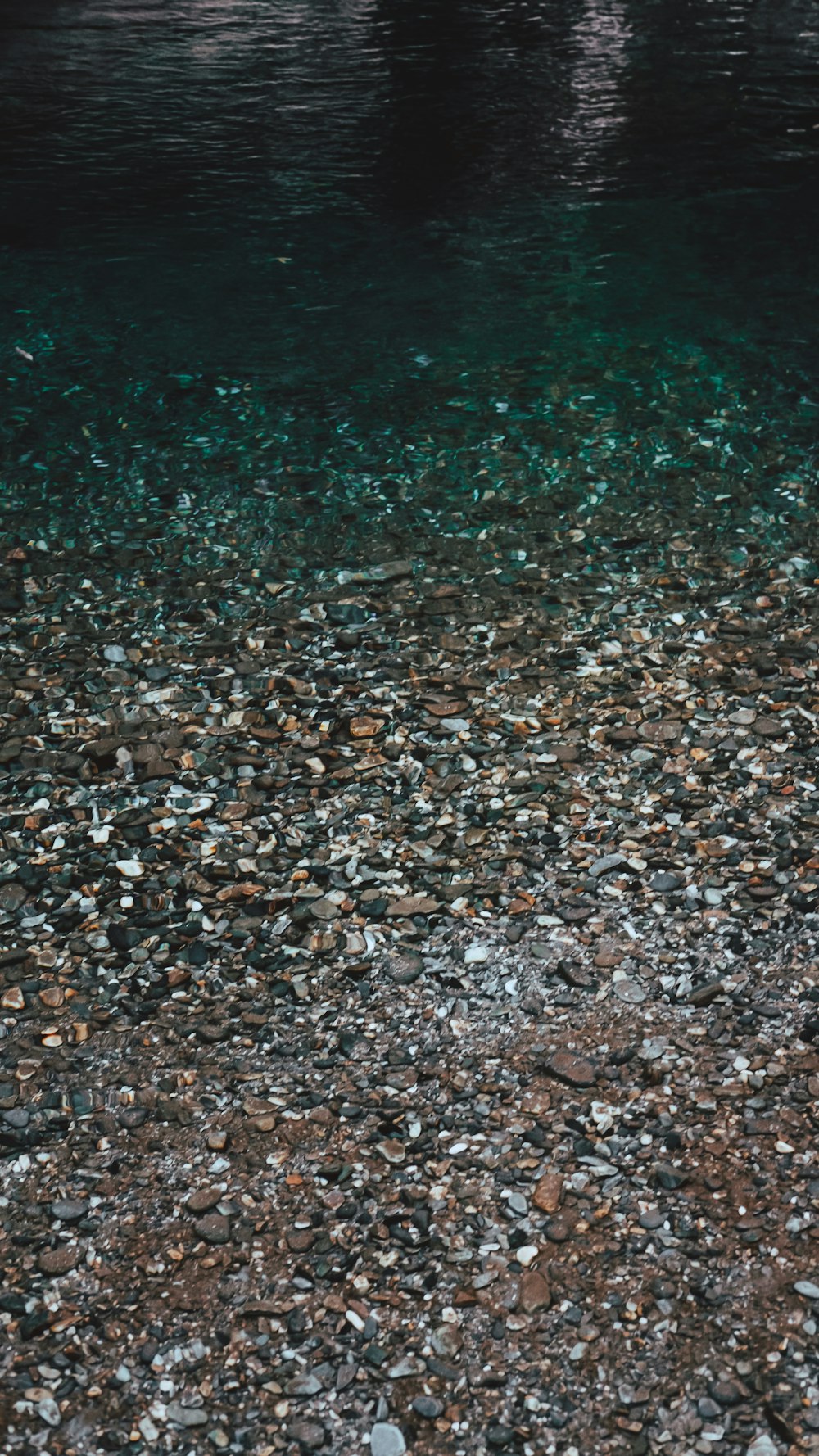 a teddy bear sitting on the ground next to a body of water