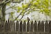 gray bird perching on fence