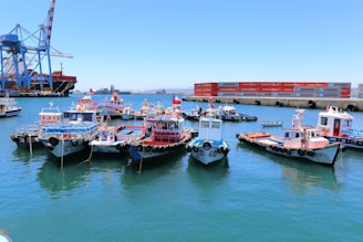 a group of boats that are in the water