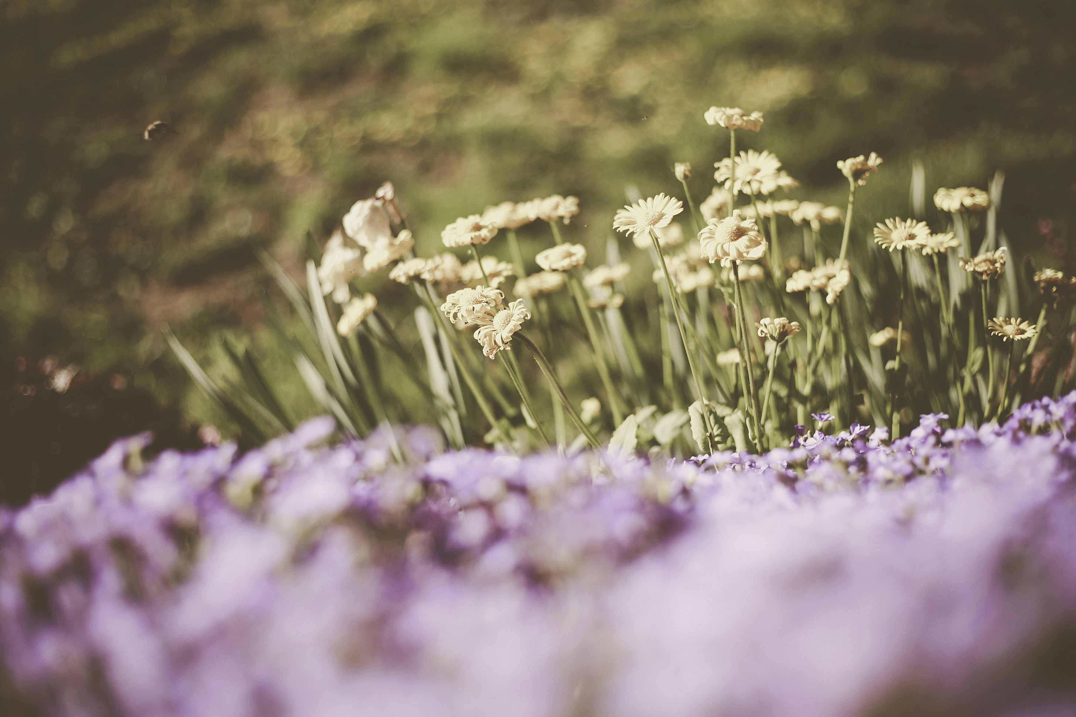 Photo by quadratmedia