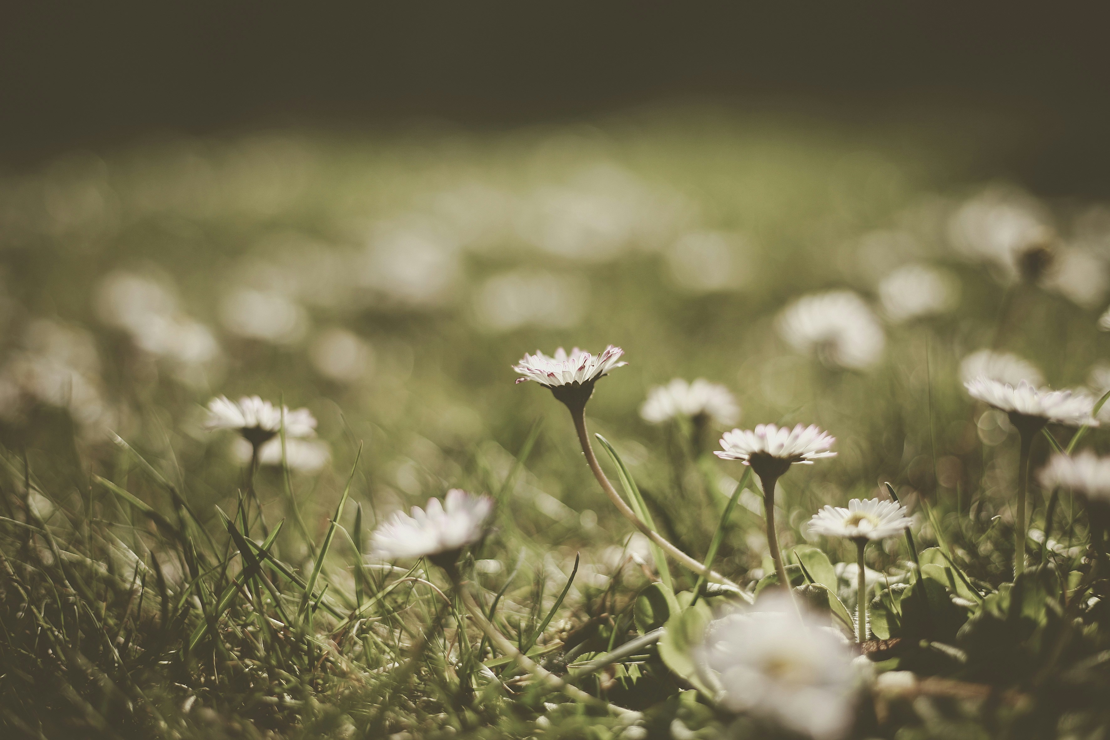 Photo by quadratmedia