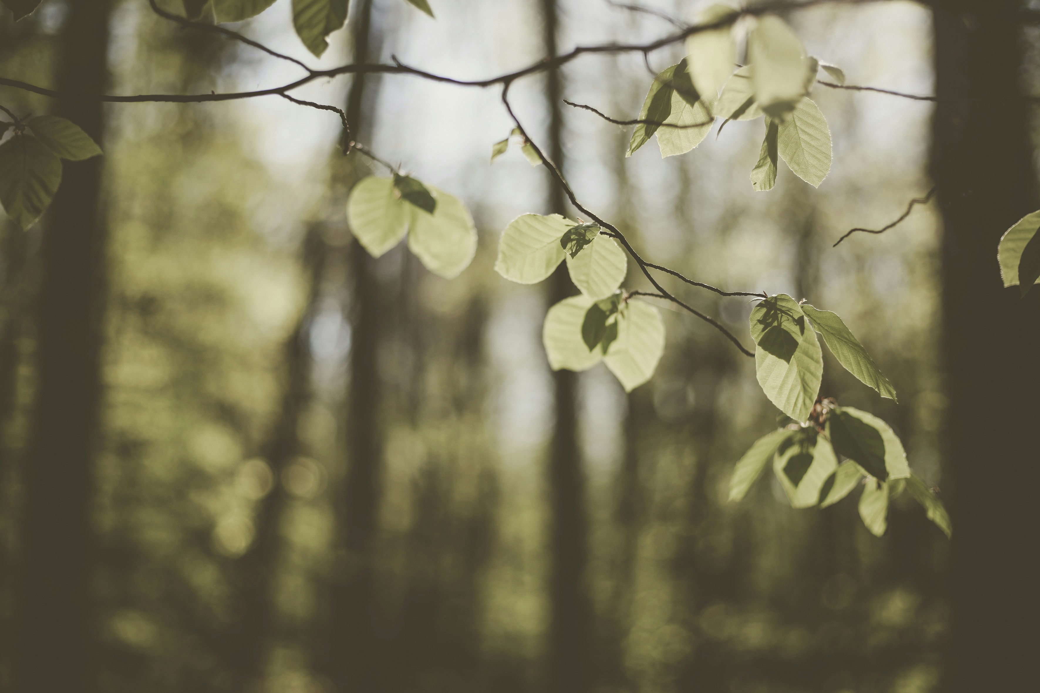 Photo by quadratmedia