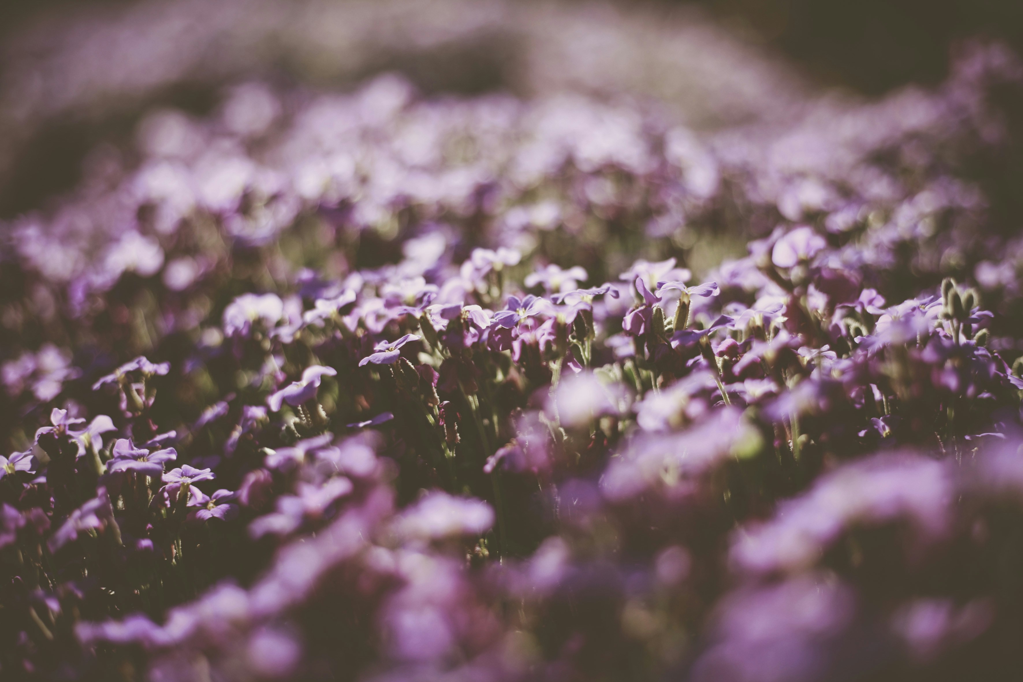 Photo by quadratmedia