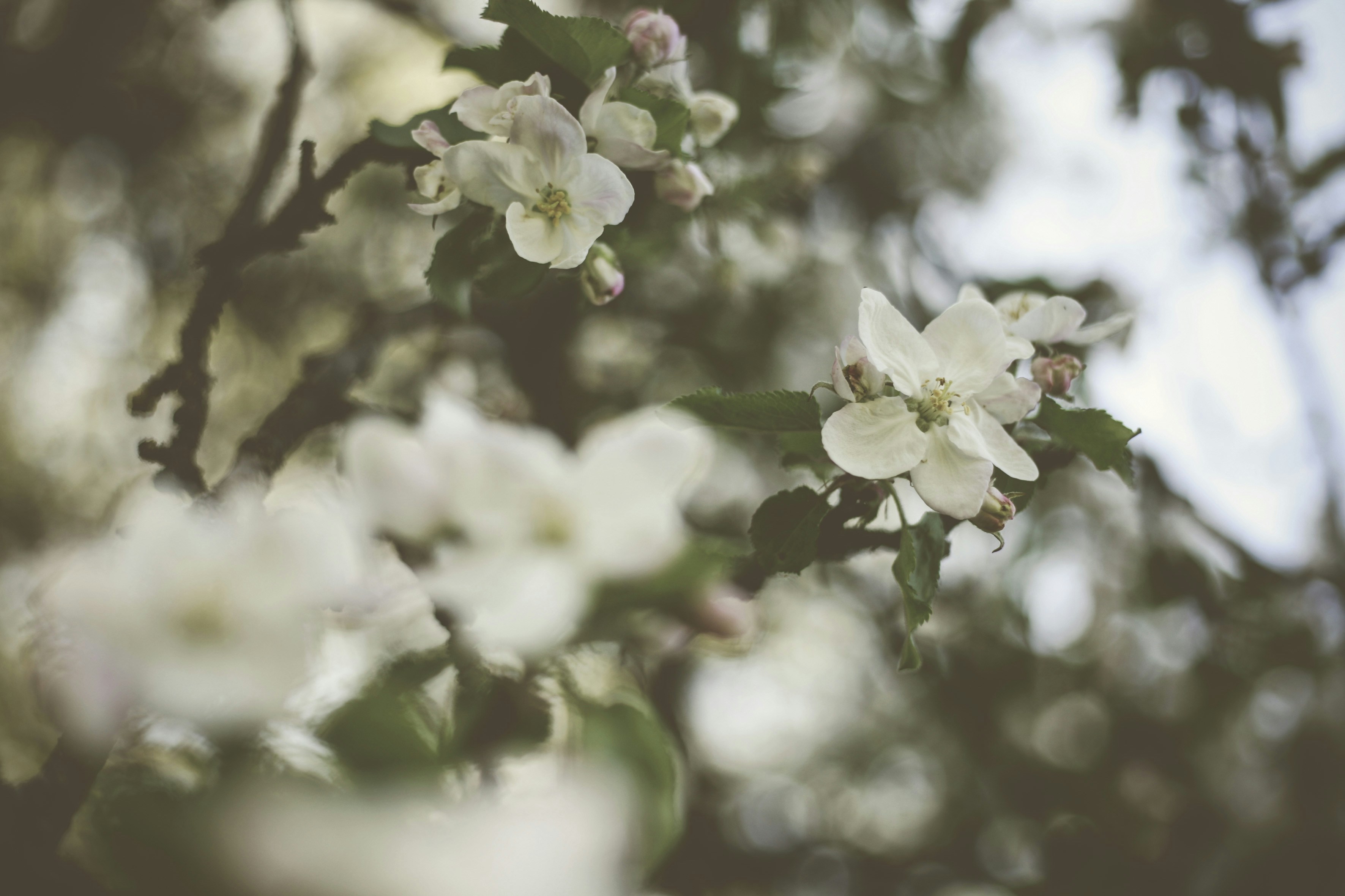 Photo by quadratmedia