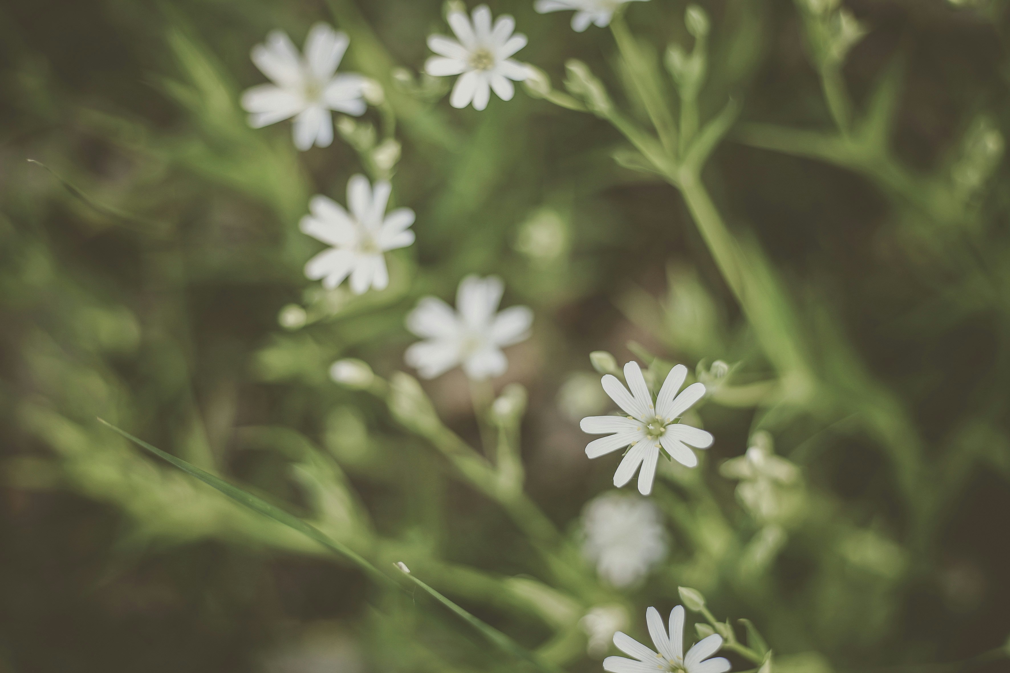 Photo by quadratmedia