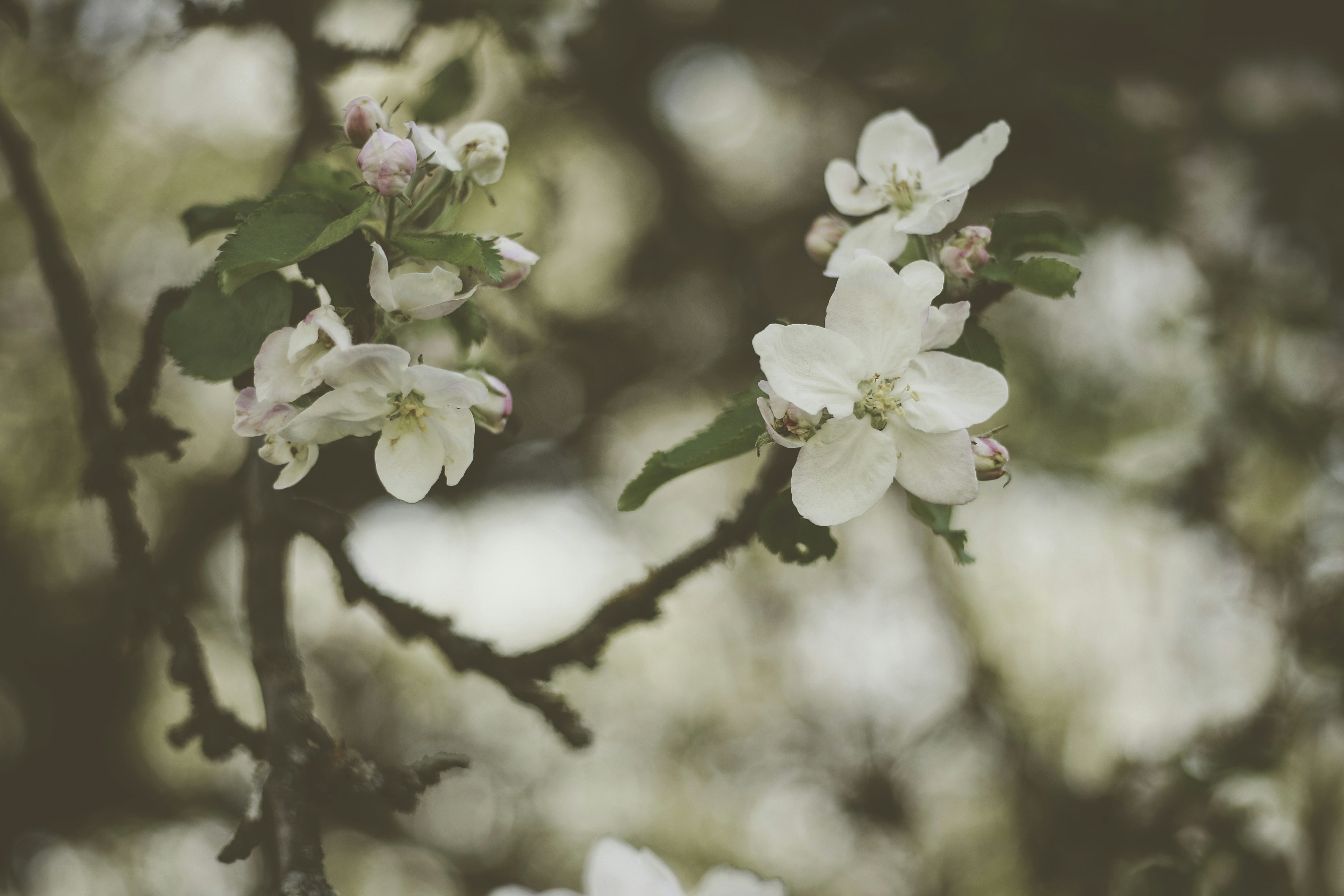 Photo by quadratmedia