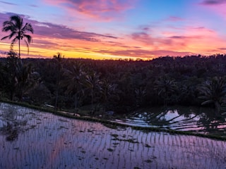 A breathtaking sunset over Bali’s lush rice terraces with a silhouette of a traveler admiring the view.