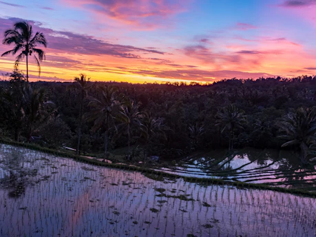 A vibrant sunset over the lush rice terraces of Banaue, with a small group of travelers admiring the view.