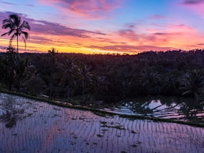 A vibrant sunrise over Bali's iconic rice terraces with travelers enjoying the view