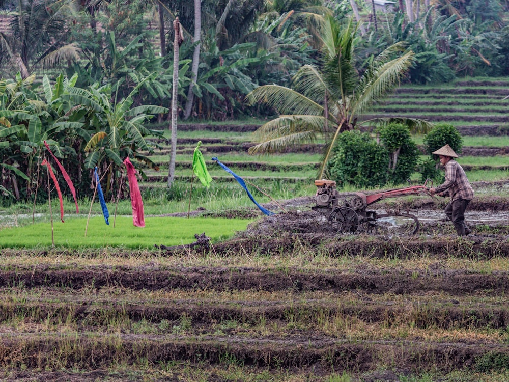 man gardening during daytime