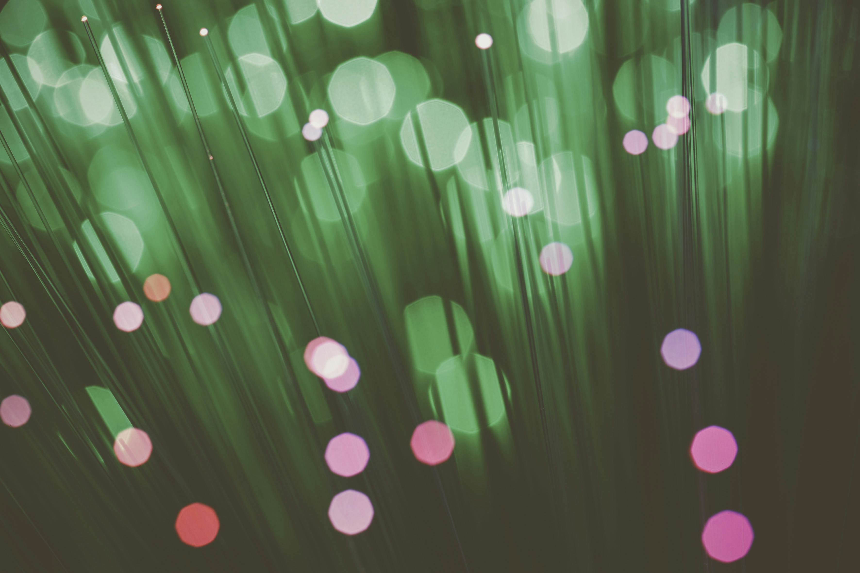 Photo by quadratmedia