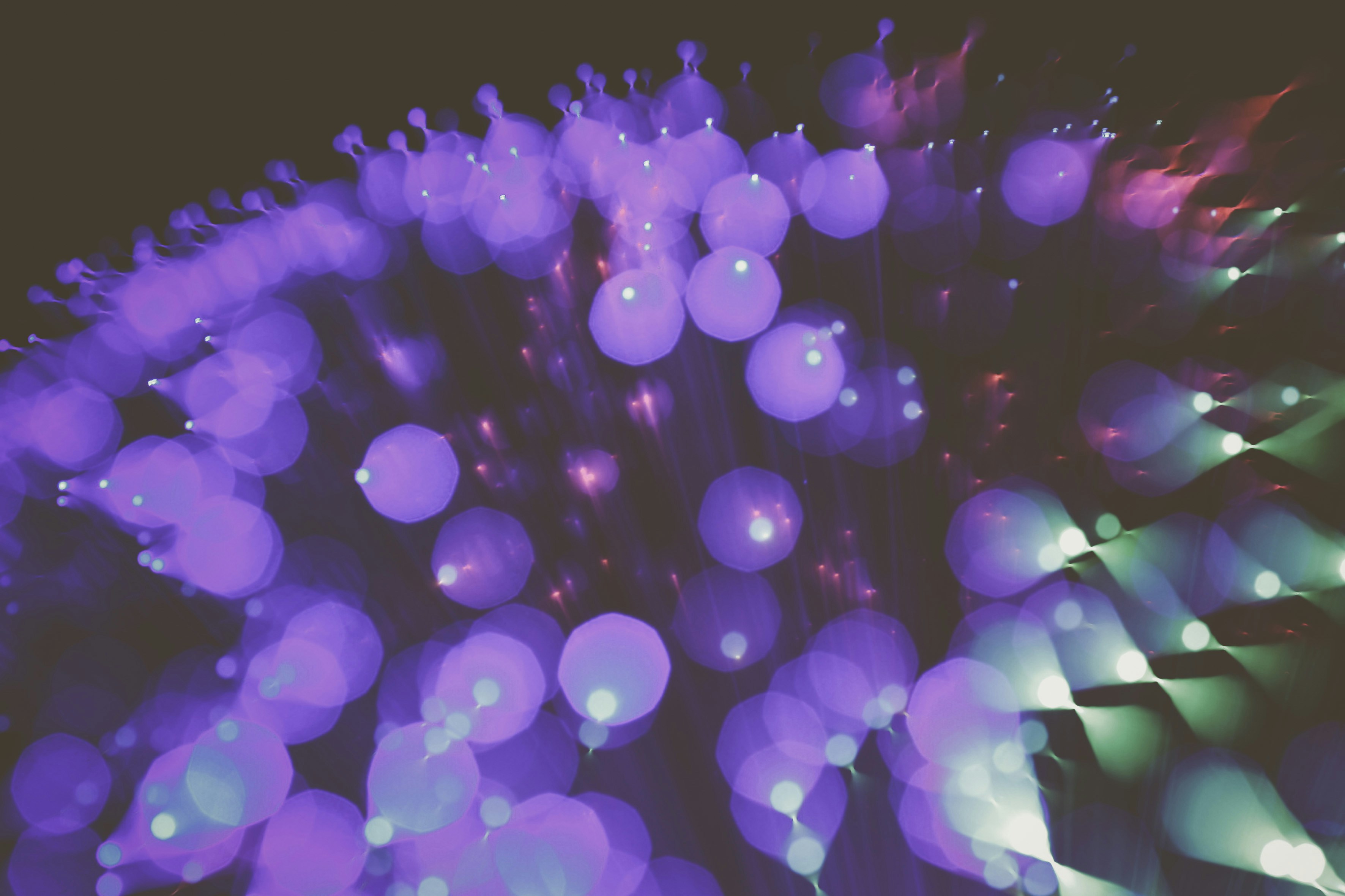 Photo by quadratmedia