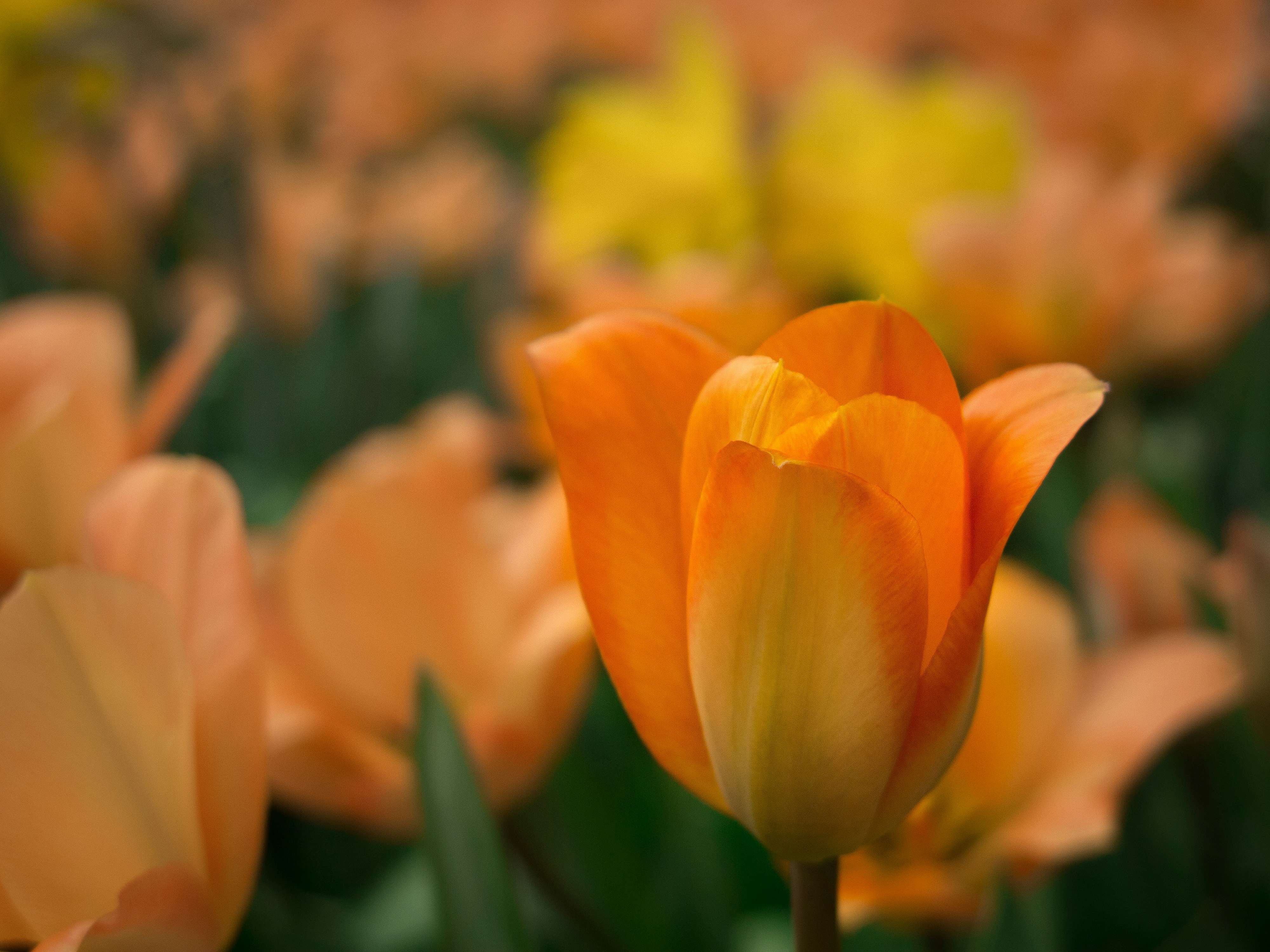 Photo by elizabeth_kay