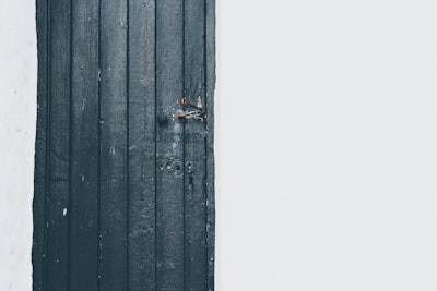 black wooden door