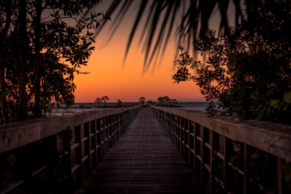 brown wooden dock during golden hour