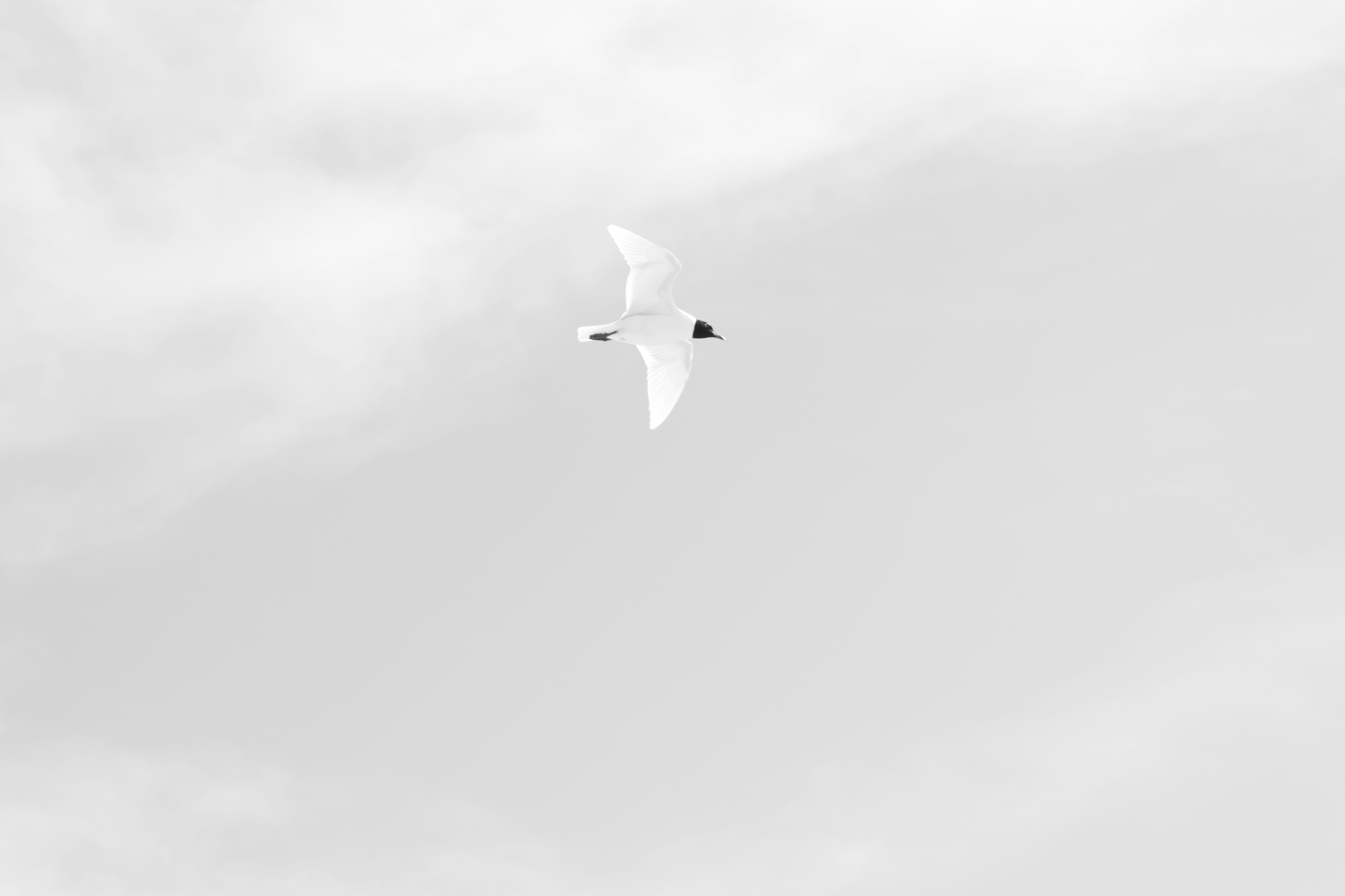 Photo by stefano_intintoli