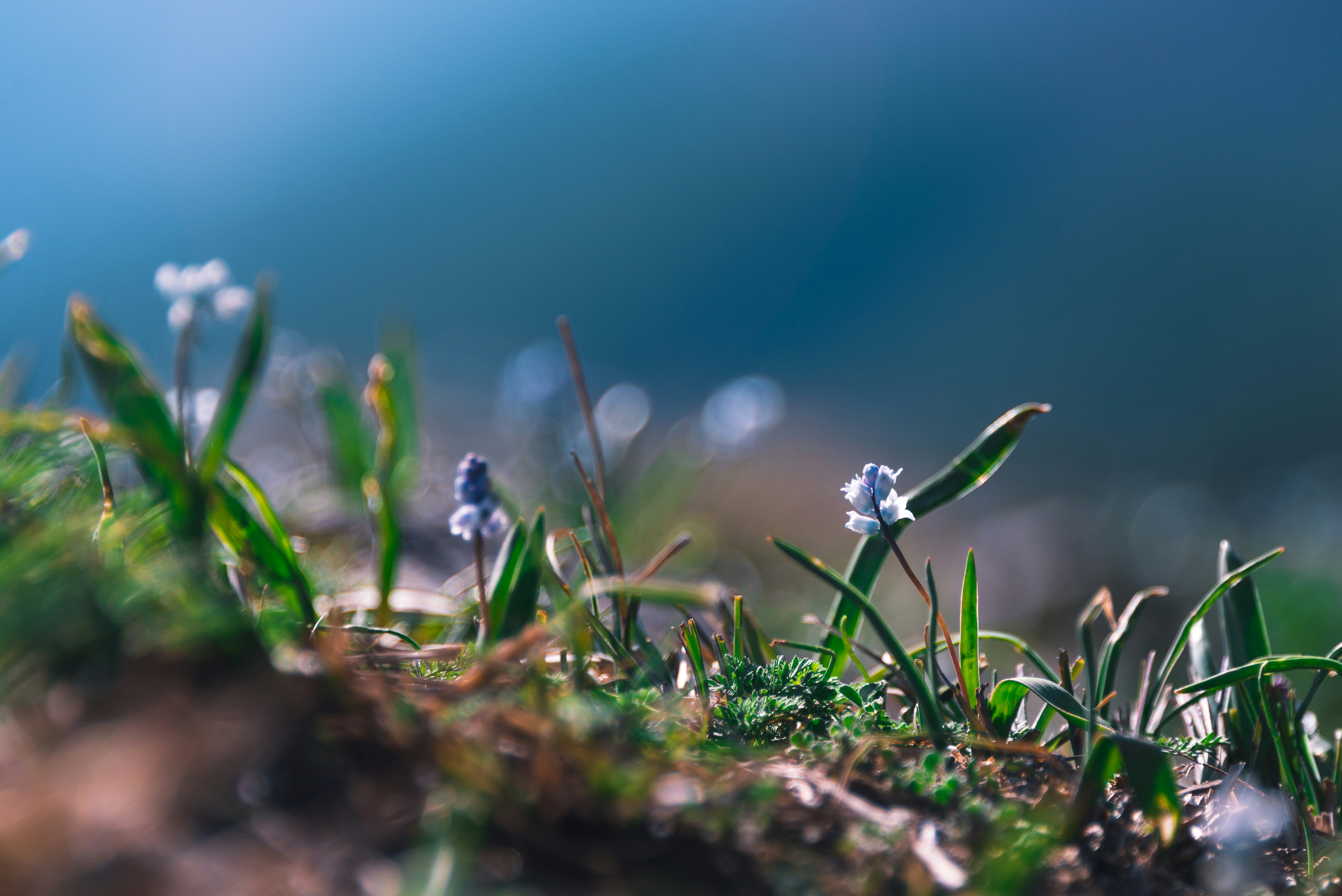 Photo by a_dzhingarov