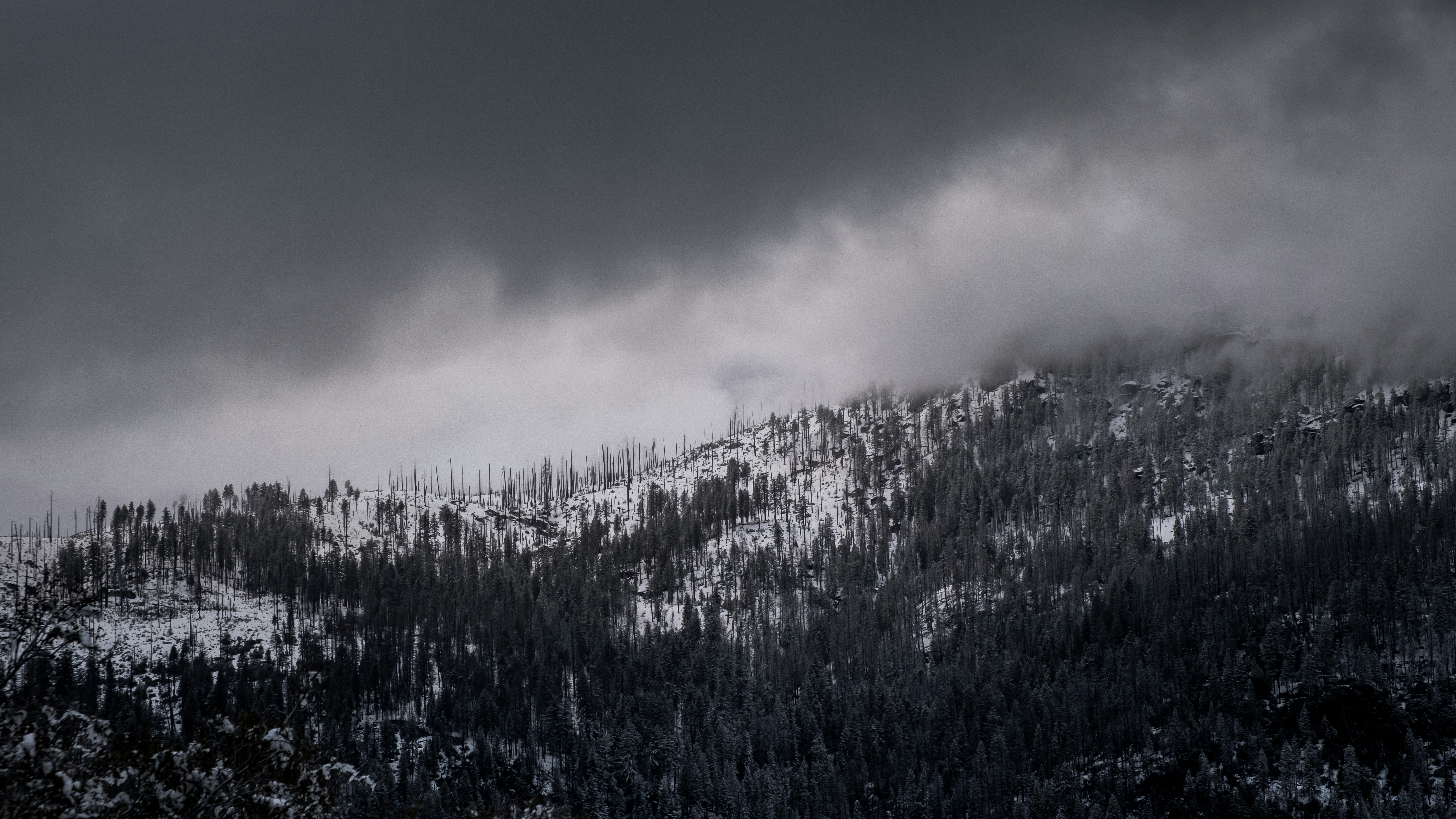 Photo by kalaniparker