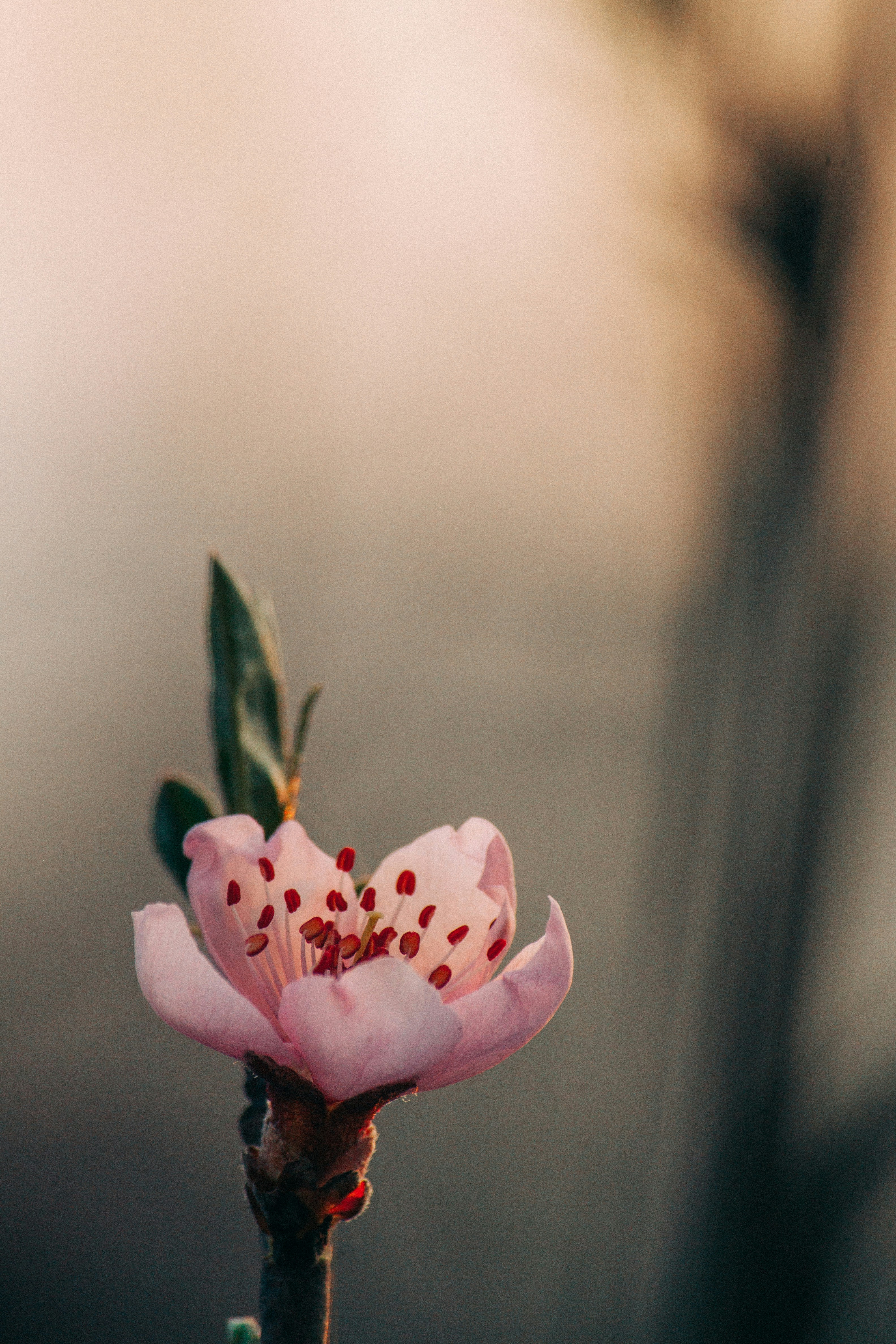 Photo by onmywayhome