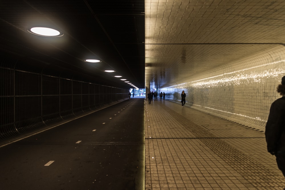 people walking on pathway