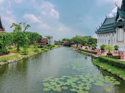 A serene landscape of Bengal, symbolizing cultural heritage and intellectual legacy.