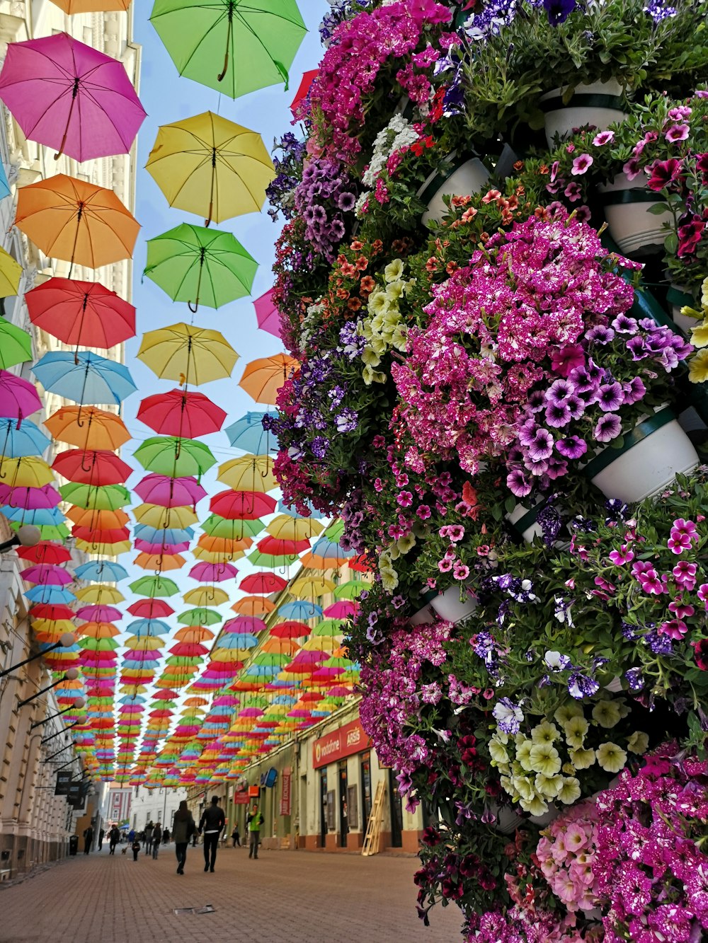 flower and umbrella festival