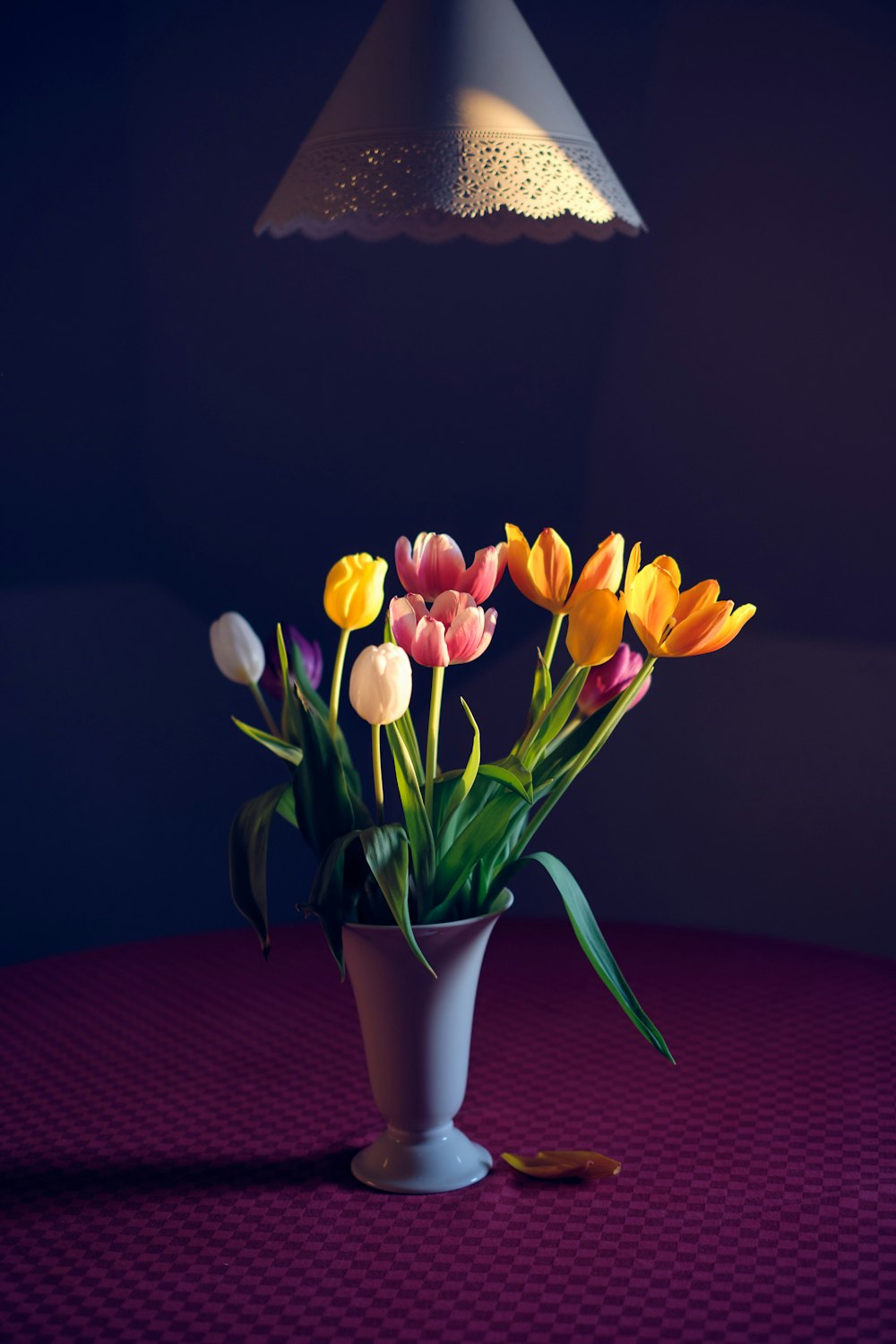 yellow petaled flower