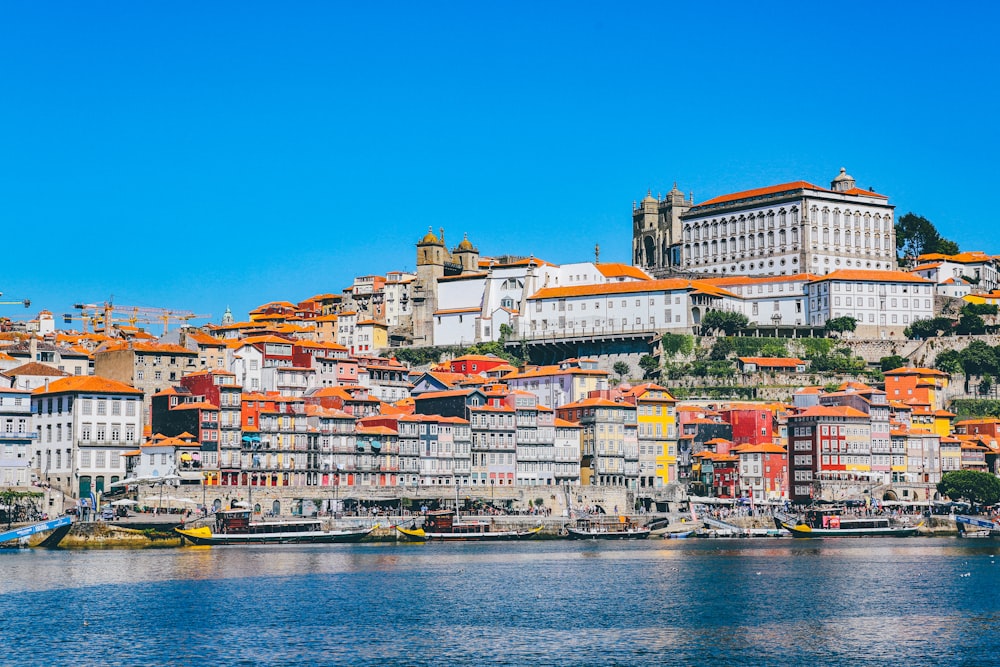 white buildings near body of water