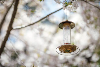 A charming bird feeder hanging from a leafy branch, surrounded by delicate wildflowers.