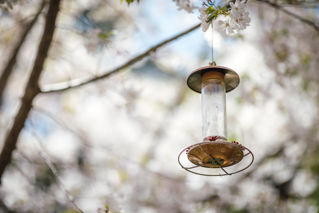 brown lantern hanged on tree