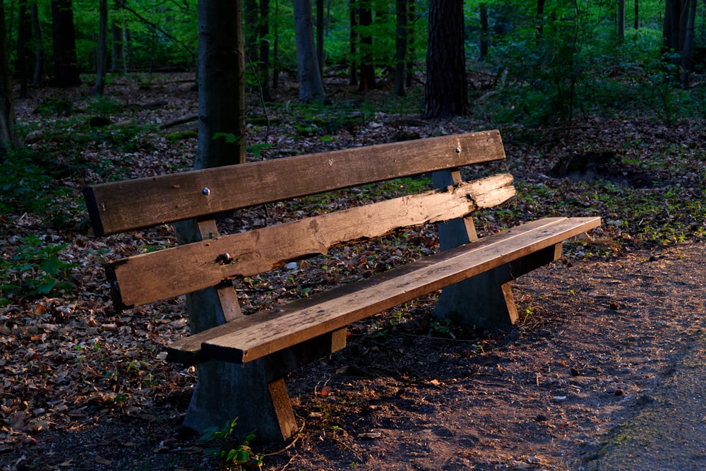 brown wooden bench near trees