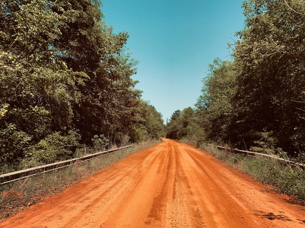 no vehicle on pathway in between trees