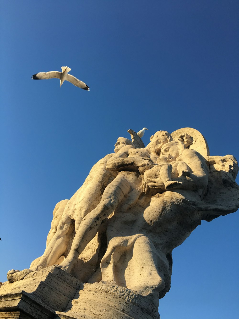 bird flying near beige statue