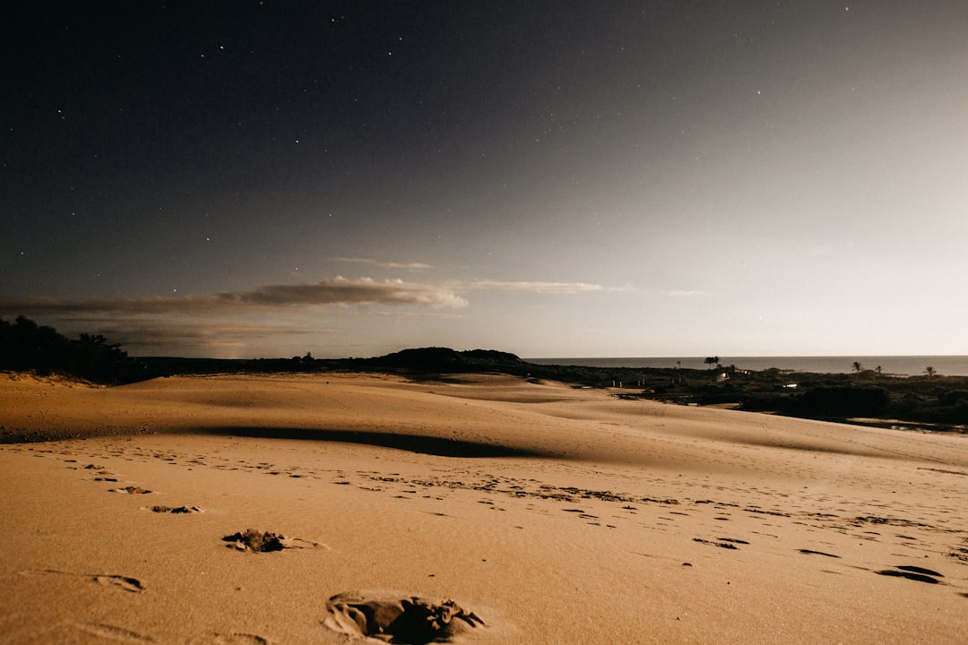 footprints on brown sand