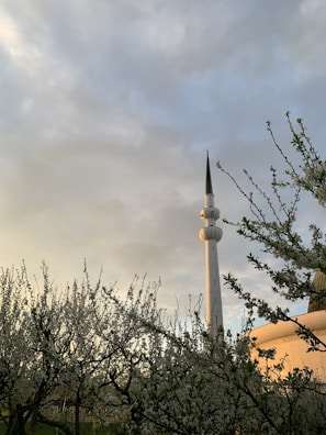 A peaceful morning view of the AMU mosque with soft sunlight.