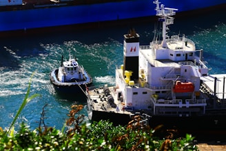 A large cargo ship is docked in the water with a small tugboat assisting it. The water is a vibrant blue, and the green foliage in the foreground adds contrast. The ship's structure has multiple levels with railings and equipment, and a distinctive logo is visible on the funnel.