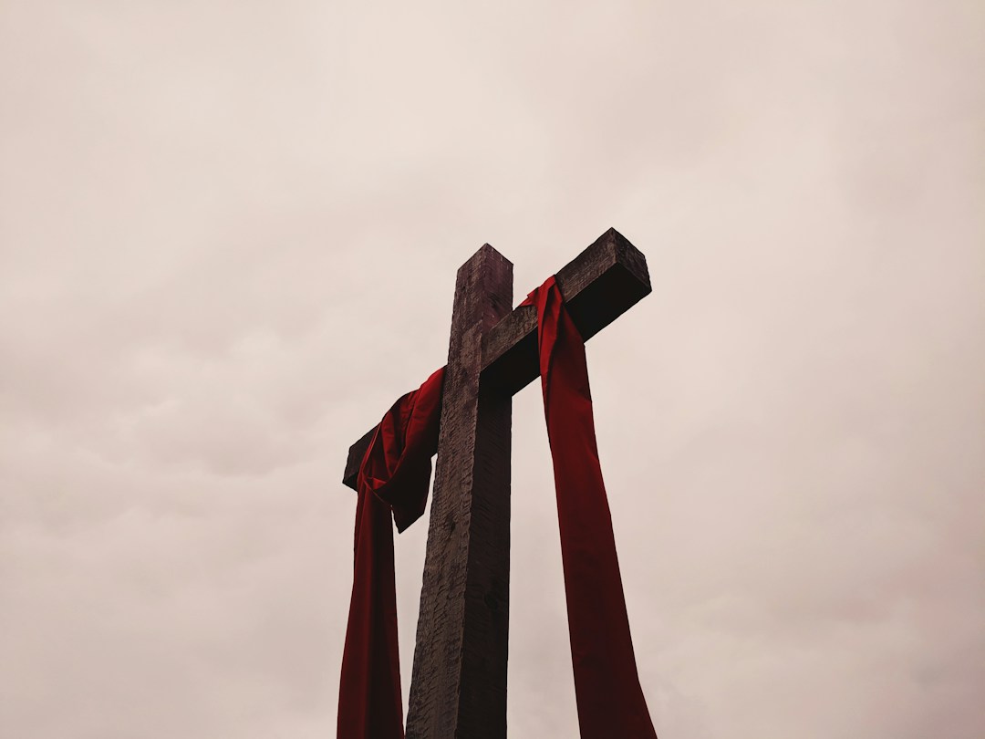 Redeemed Son Fellowship's image