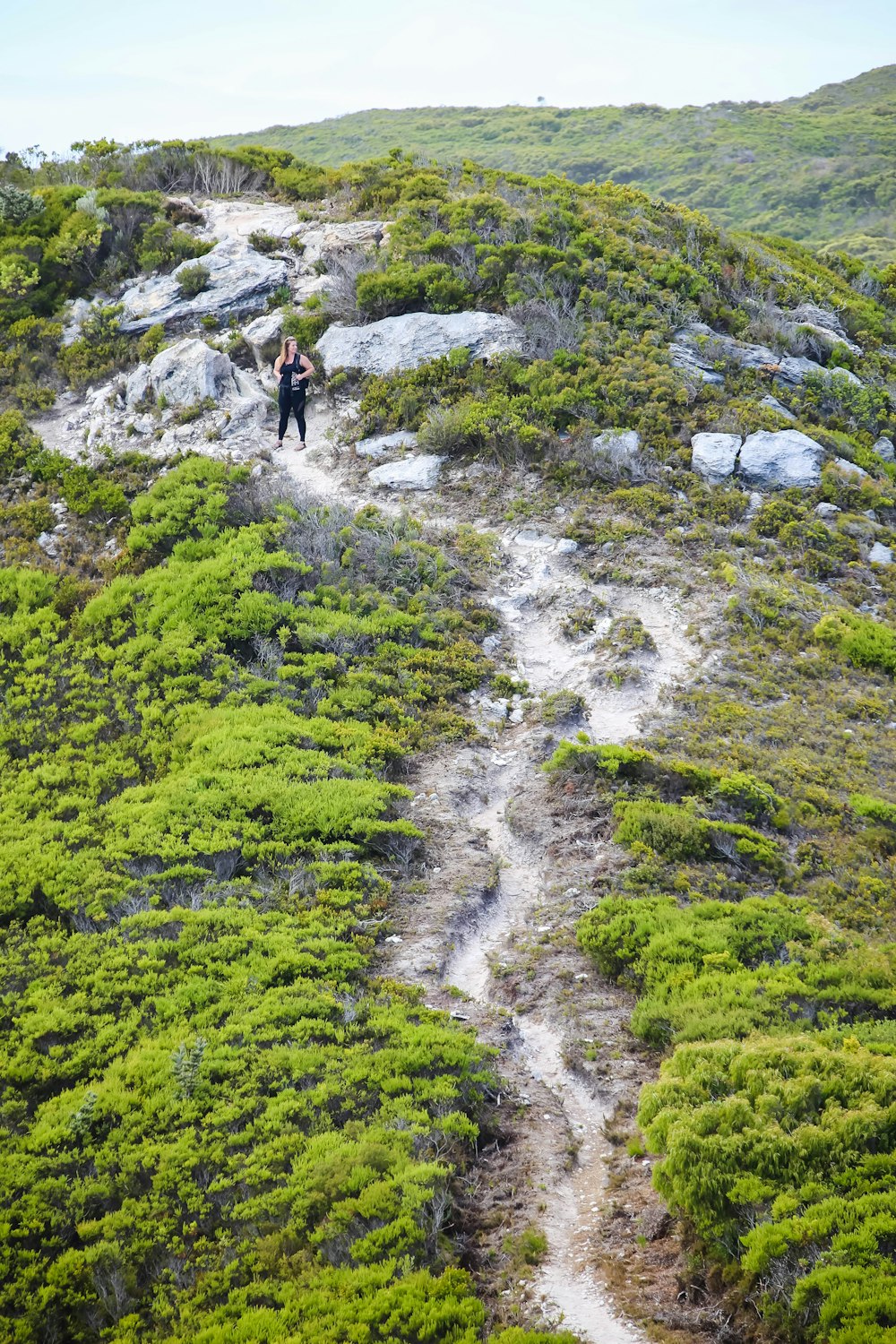 person standing on top of hill