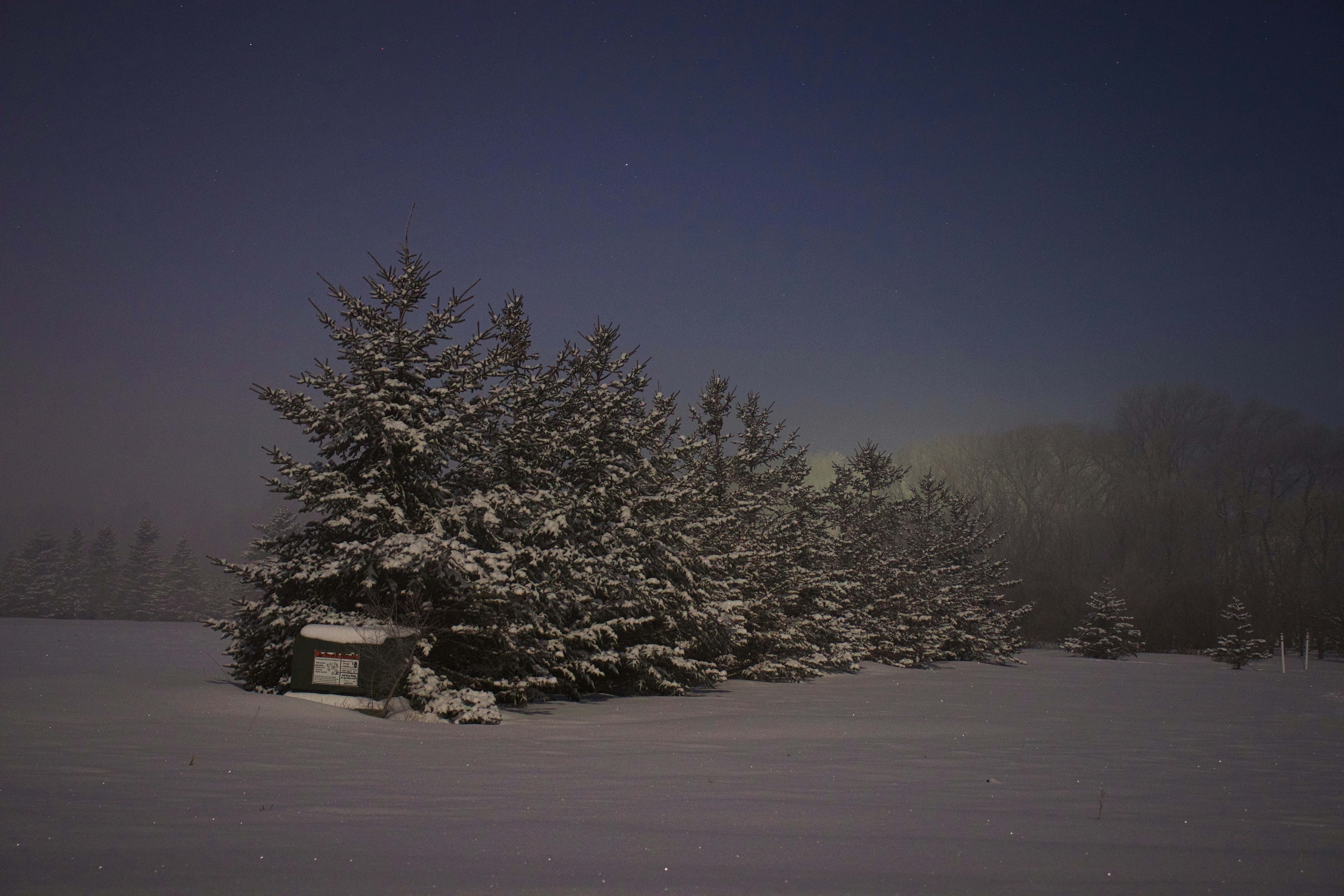 Photo by cole_wyland_24