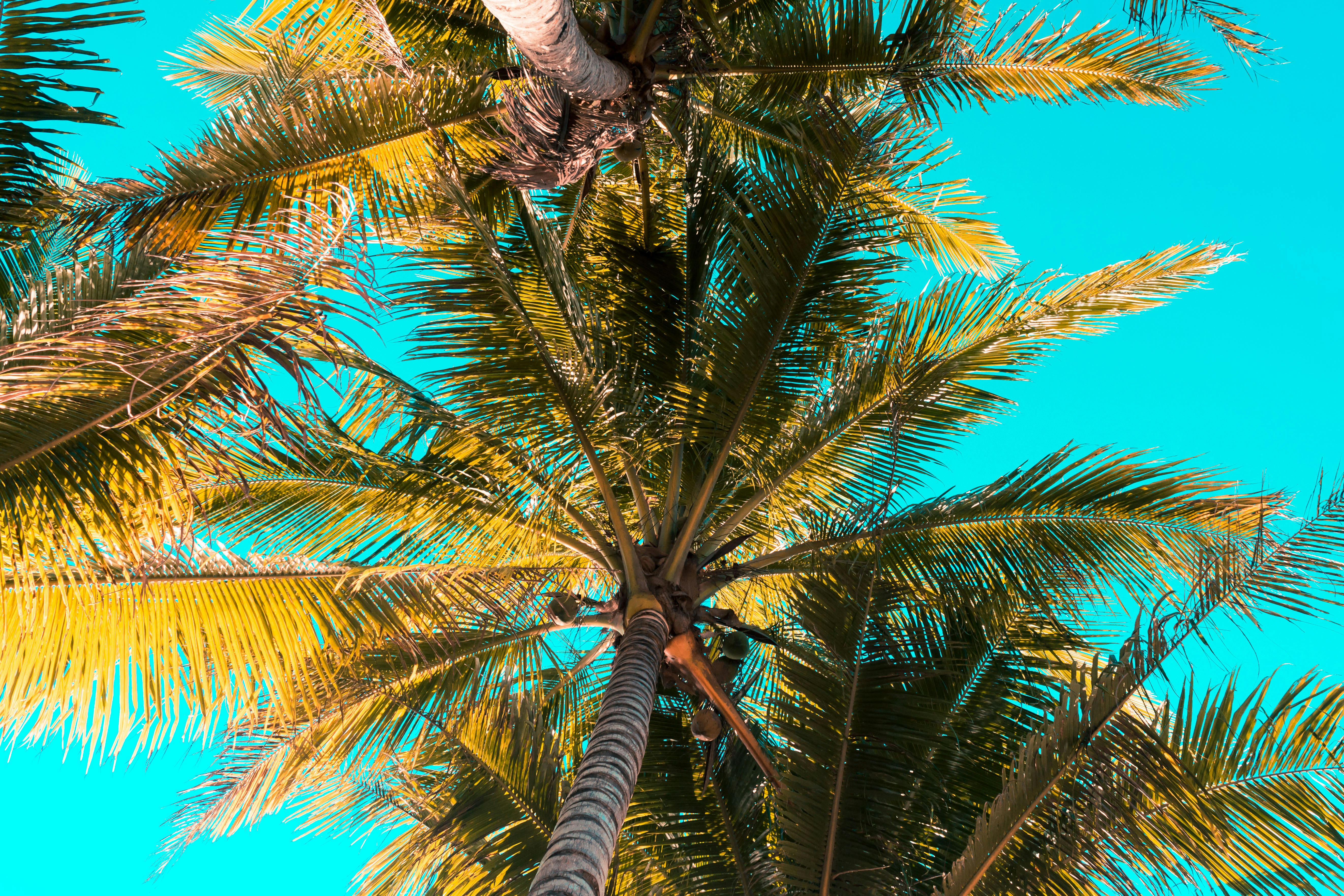 Photo by lorenznarbs